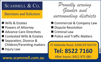 banner image for Scammell & Co
